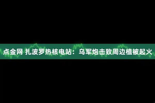点金网 扎波罗热核电站：乌军炮击致周边植被起火