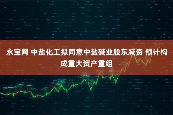 永宝网 中盐化工拟同意中盐碱业股东减资 预计构成重大资产重组