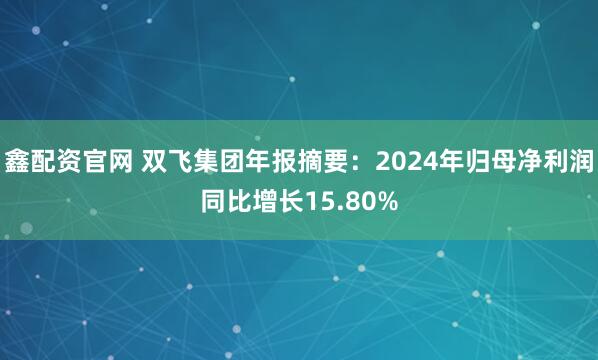 鑫配资官网 双飞集团年报摘要：2024年归母净利润同比增长15.80%