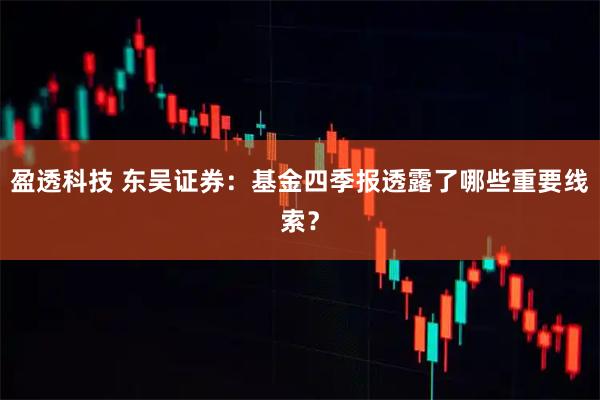盈透科技 东吴证券：基金四季报透露了哪些重要线索？