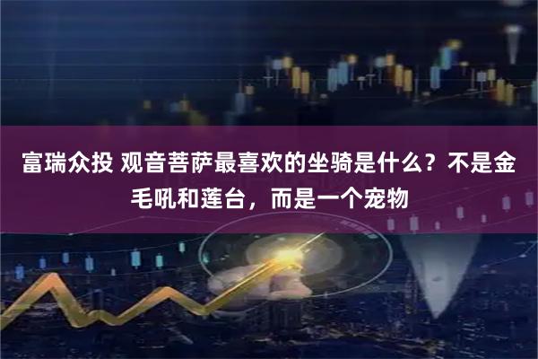 富瑞众投 观音菩萨最喜欢的坐骑是什么？不是金毛吼和莲台，而是一个宠物