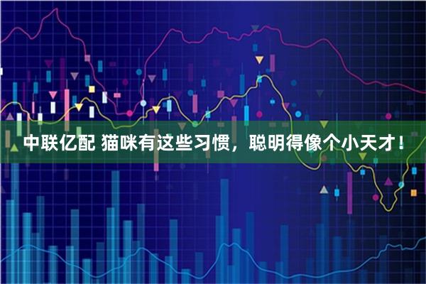中联亿配 猫咪有这些习惯，聪明得像个小天才！