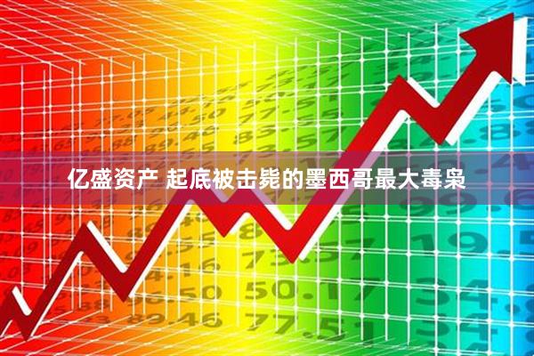 亿盛资产 起底被击毙的墨西哥最大毒枭