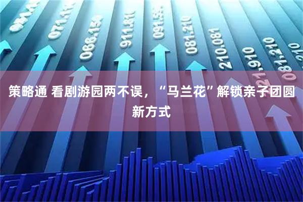 策略通 看剧游园两不误，“马兰花”解锁亲子团圆新方式